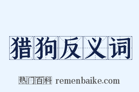 猎狗反义词是什么意思的图片